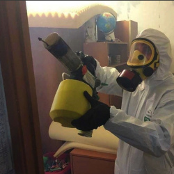 Уничтожение клопов в квартире. Гай
